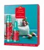 TESORI d`Oriente Zestaw prezentowy Ayurveda (Woda perfumowana 100 ml+ Dezodorant w sprayu 150 ml) 1 op. - 2 szt.
